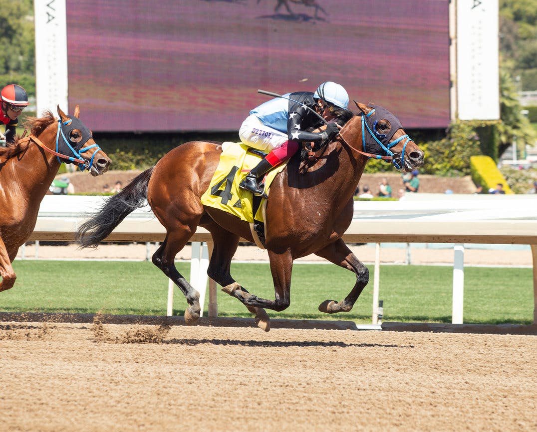 Sharp Maiden Winner Ball Don’t Lie Makes Stakes Debut In Sunday’s $100,000 Lazaro Barrera Stakes 