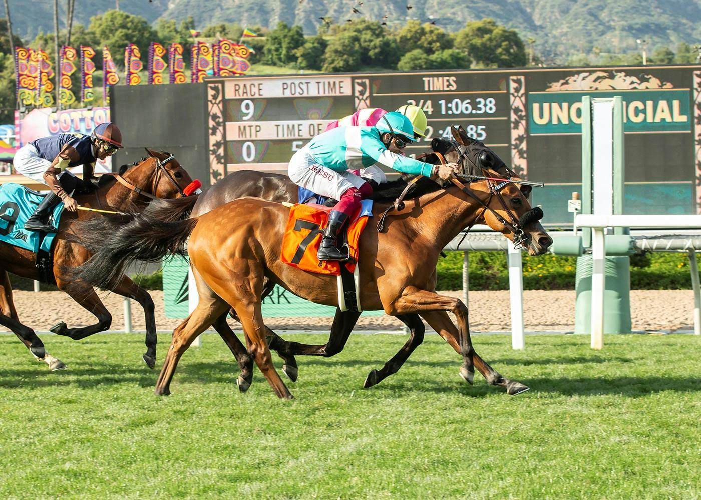 Laulne Aims For 2nd Straight Stakes Win On Hillside Turf Course In Sunday’s GIII, $100,000 Senorita Stakes