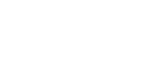 1/ST Logo