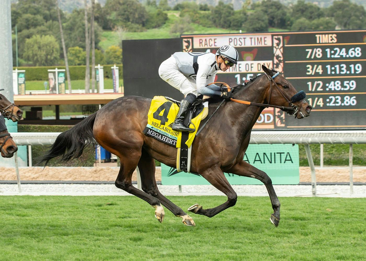 Multiple Graded Winner Bellabel, New Arrival Uncorked Loom Large For D’Amato In Saturday’s GIII, $100,000 Royal Heroine Stakes